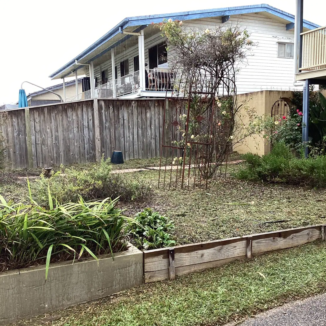 Overgrowth & green waste — after