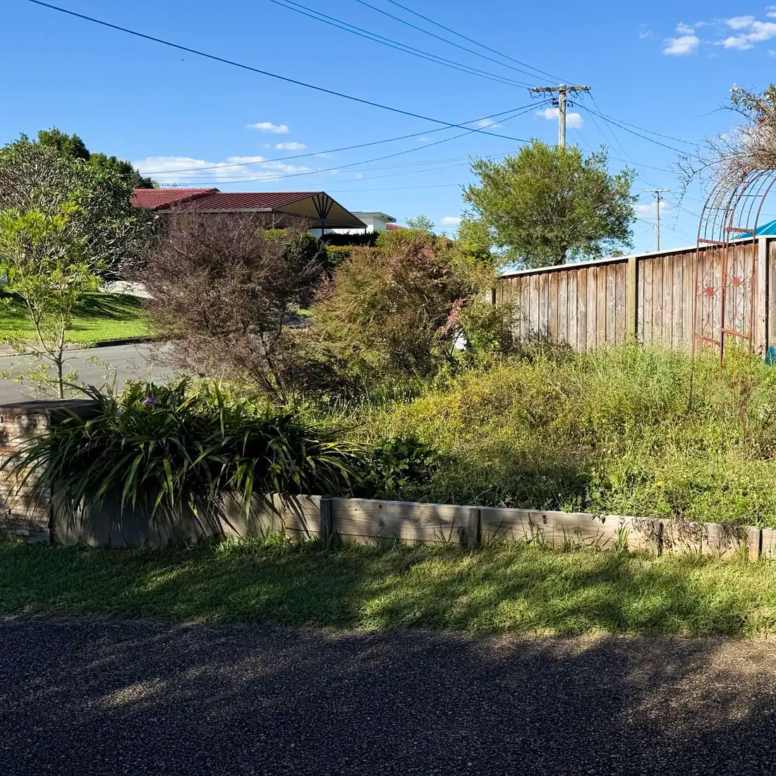 Overgrowth & green waste — before