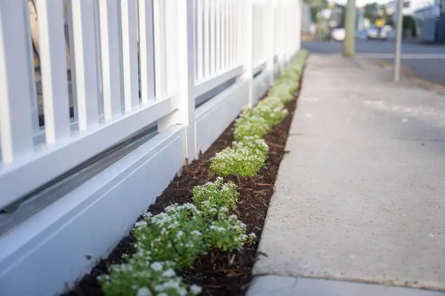 Clipped hedging along a garden path