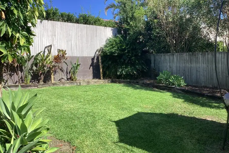 Front garden restored after overgrowth removal
