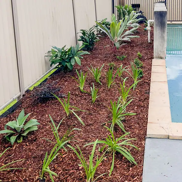 Completed garden clean up